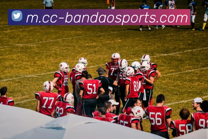 App Interface Preview