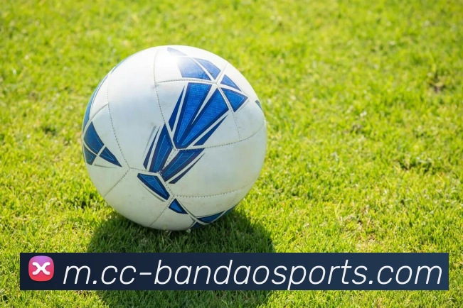 半岛体育APP 封面图