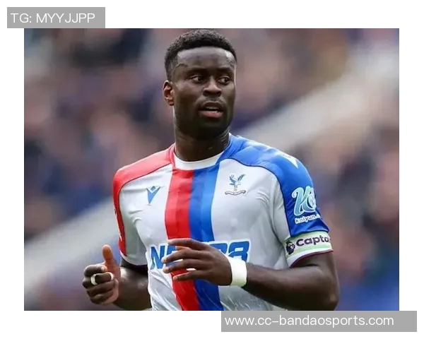 格伊向水晶宫确认将于明年离队格拉斯纳和罗马诺齐发声